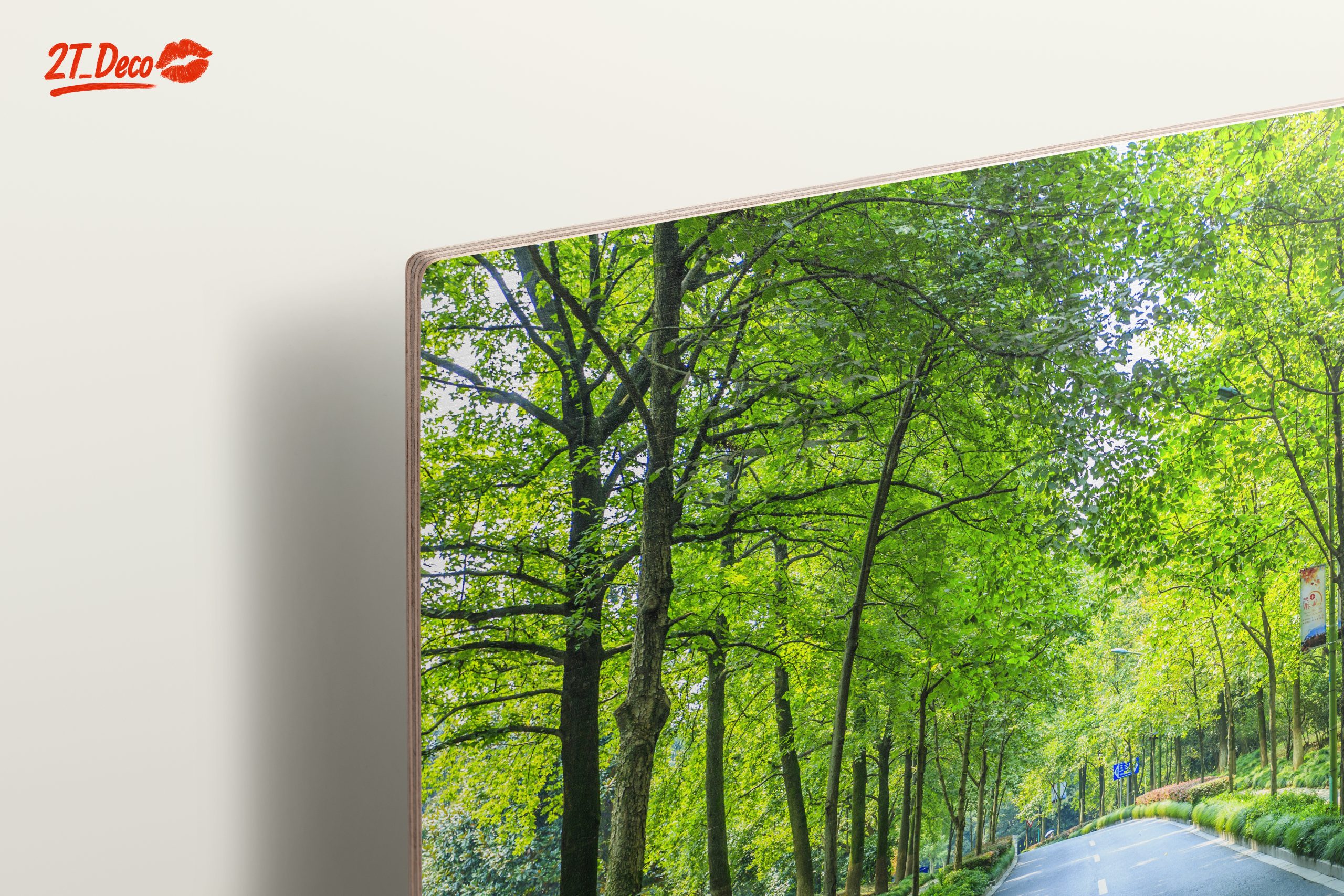 Serene Tree-Lined Path in Nature - Image 15
