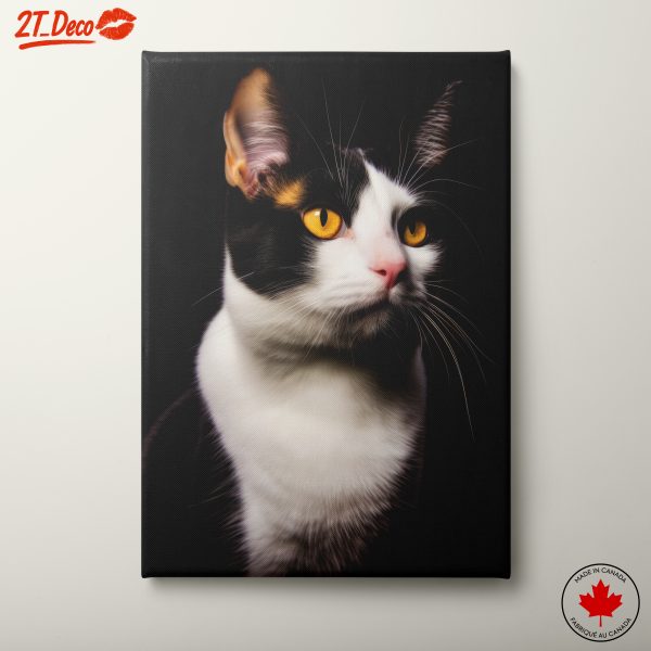 Stunning Portrait of a Cat
