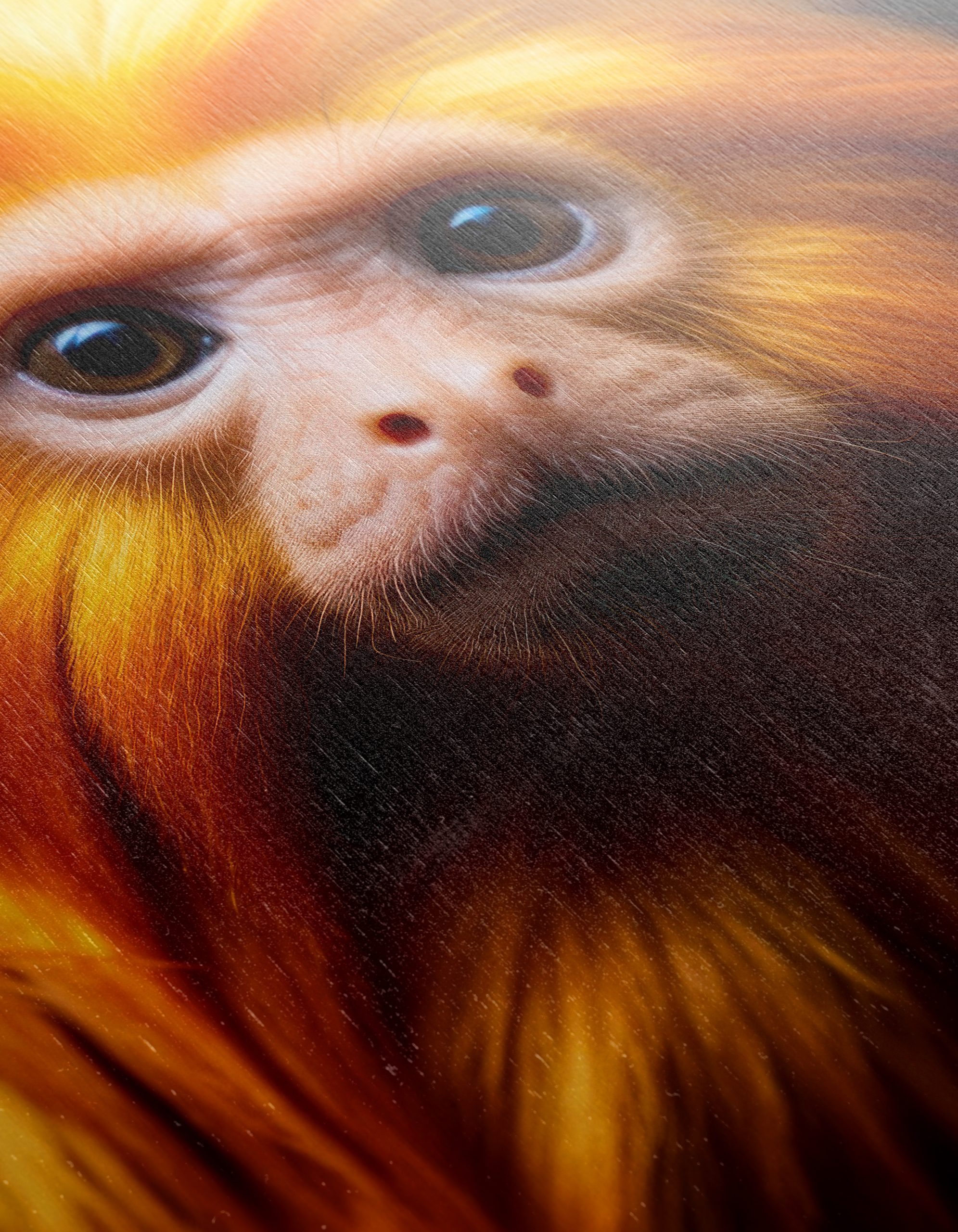 Vibrant Golden Monkey Wall Art - Image 12