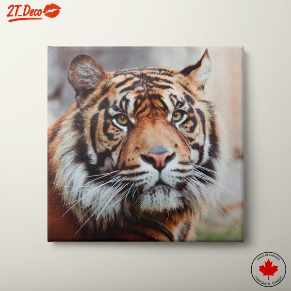 Realistic Tiger Portrait with Striking Features