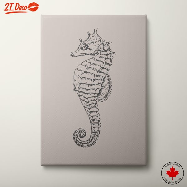 Illustrative Seahorse Artwork