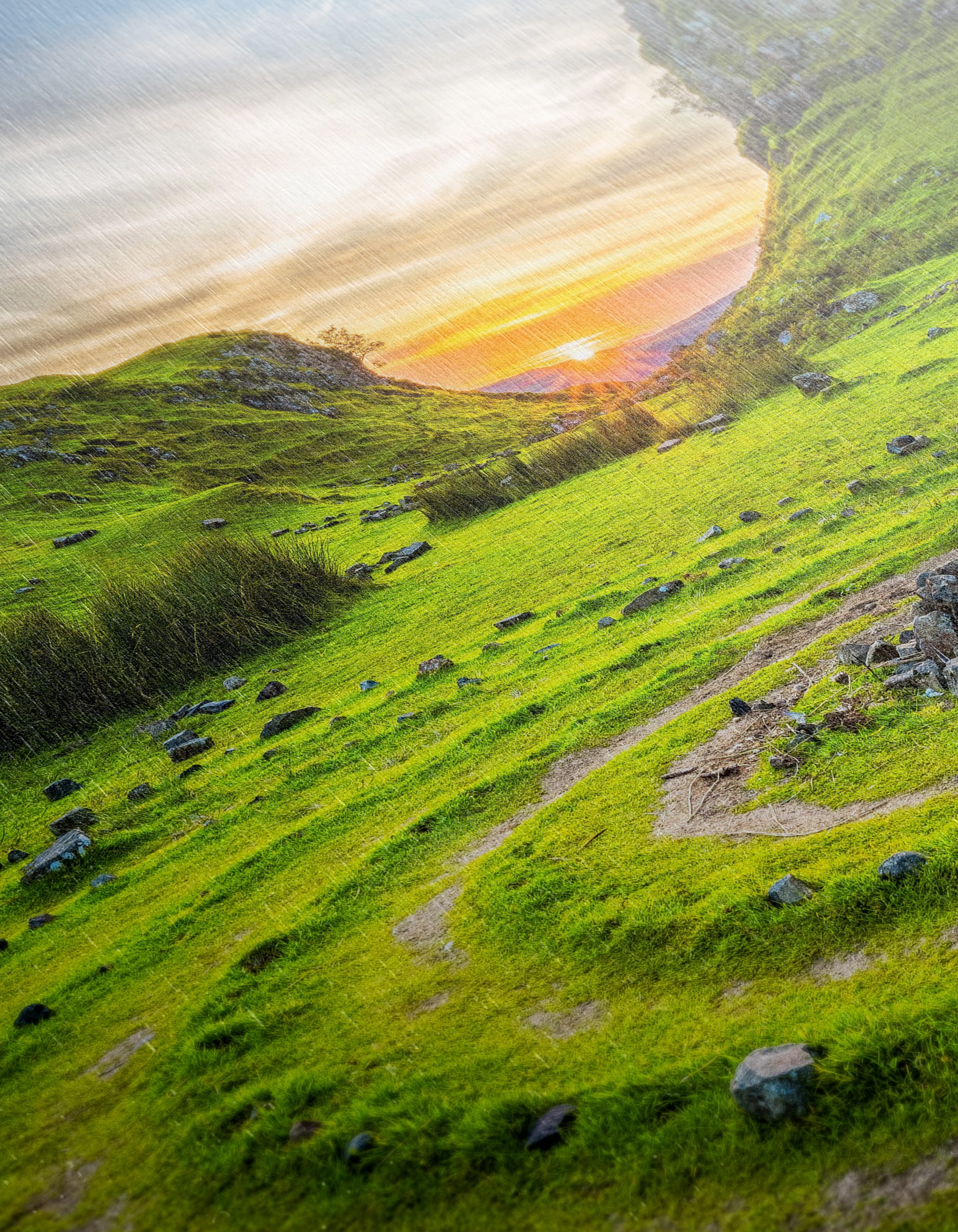 Serene Nature Landscape at Sunset 3 - Image 12