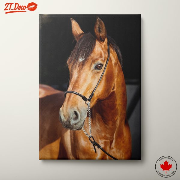 Realistic Horse Portrait for Animal Lovers