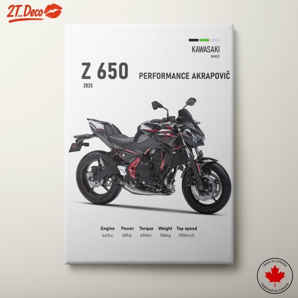 2025 Kawasaki Z650 Motorcycle Performance Art