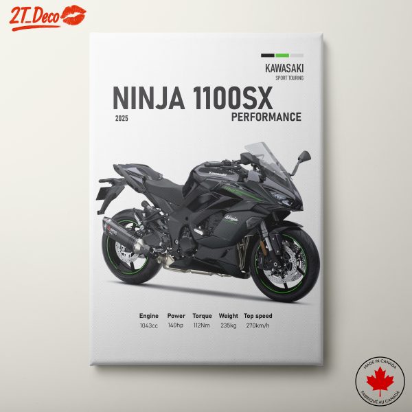 Kawasaki Ninja 1100SX Performance Motorcycle