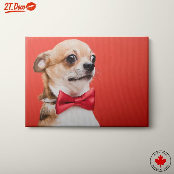Charming Dog Portrait with Red Bowtie