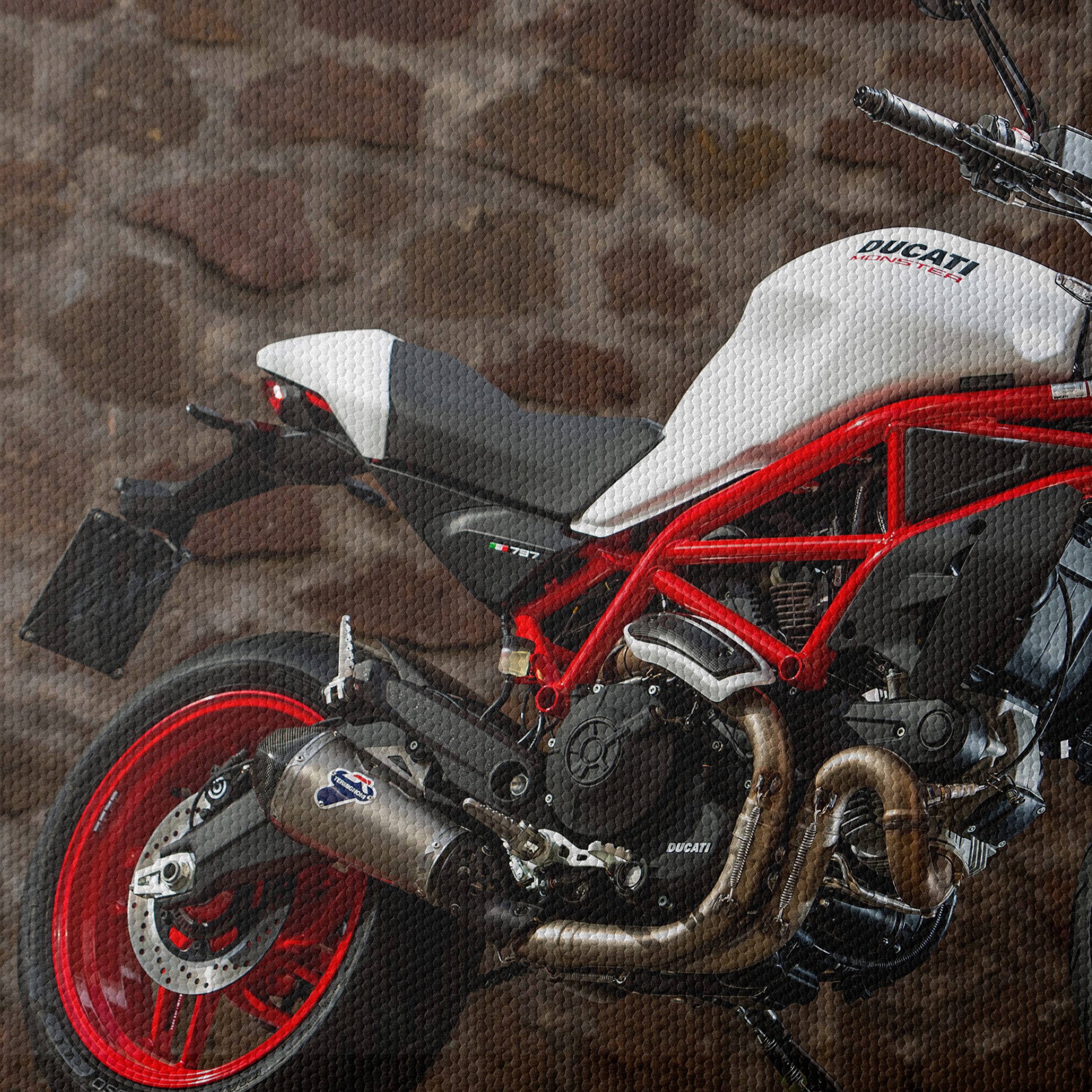 Ducati Motorcycle on Display - Image 4