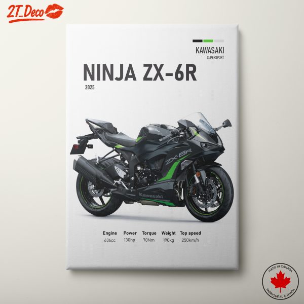 Kawasaki Ninja ZX-6R Artwork