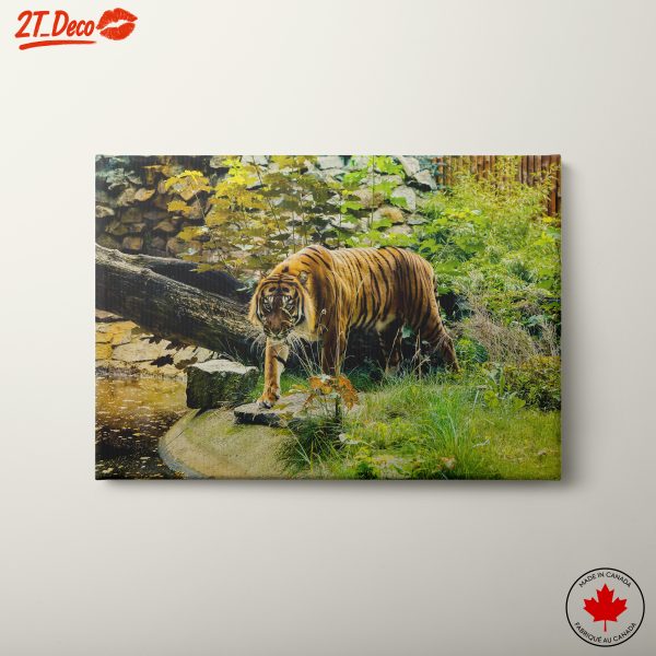 Striking Tiger in Natural Habitat Art