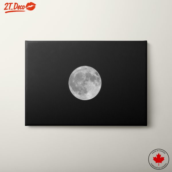 Radiant Moon Against a Black Sky