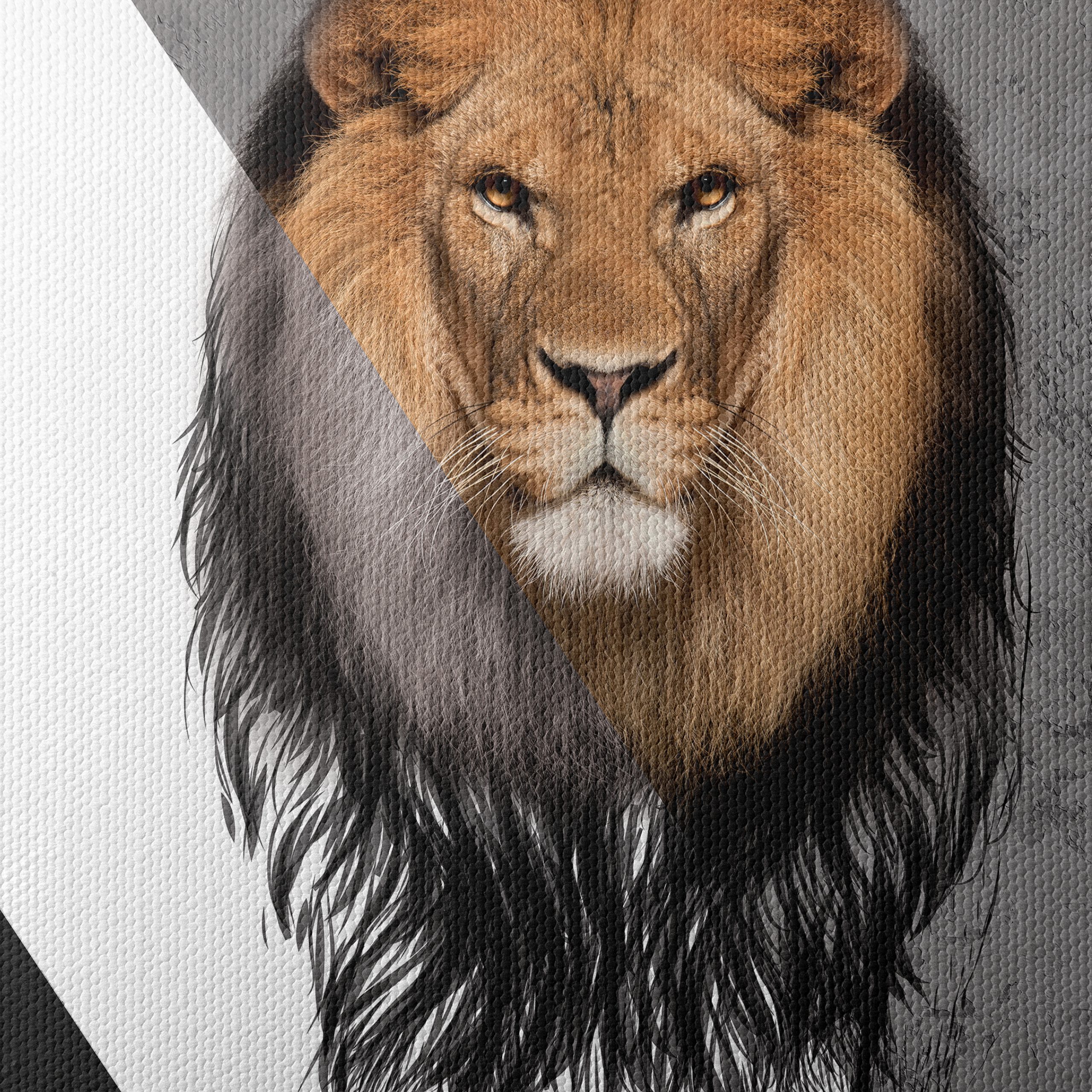 Majestic Lion Wall Art 2 - Image 4