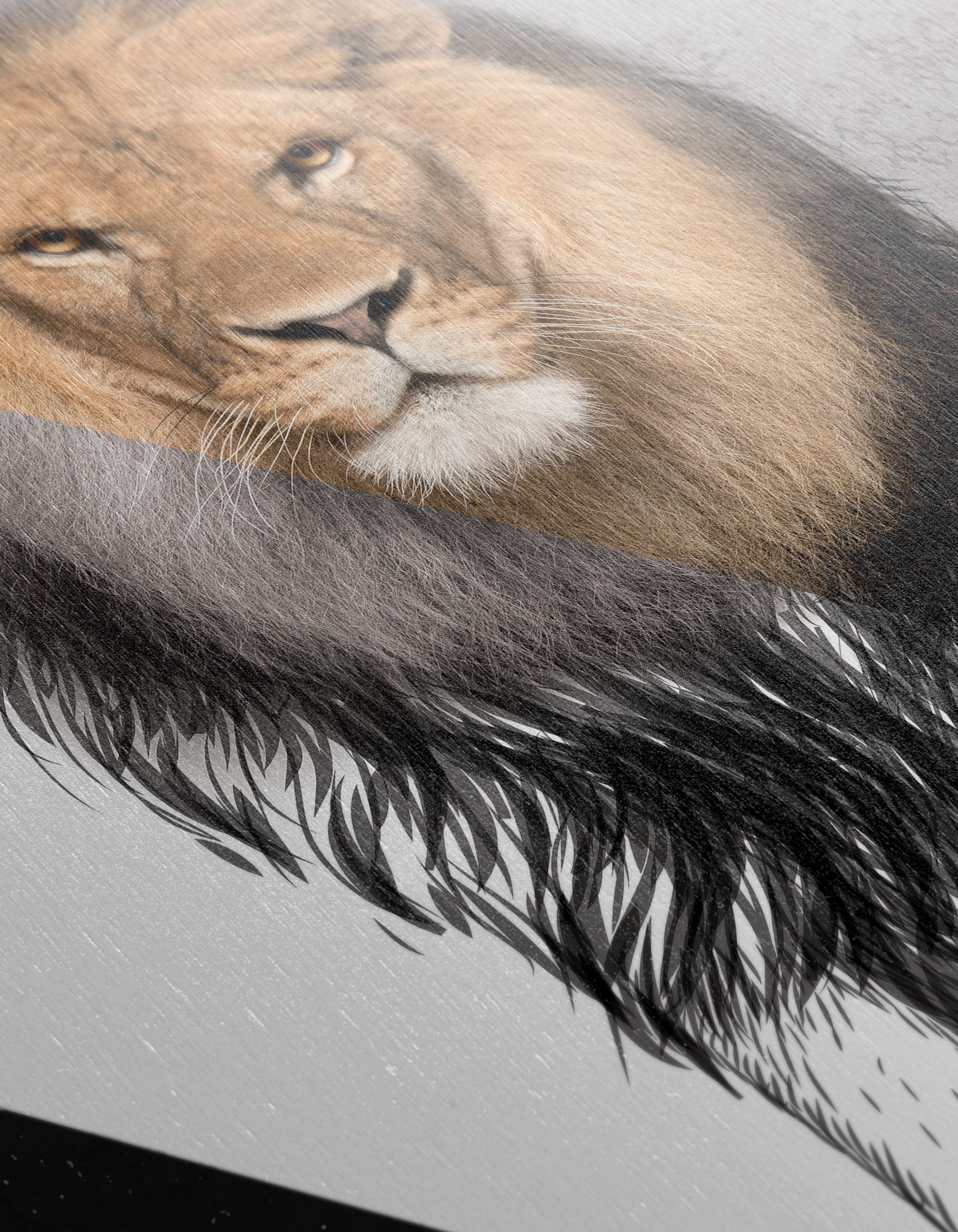 Majestic Lion Wall Art 2 - Image 12