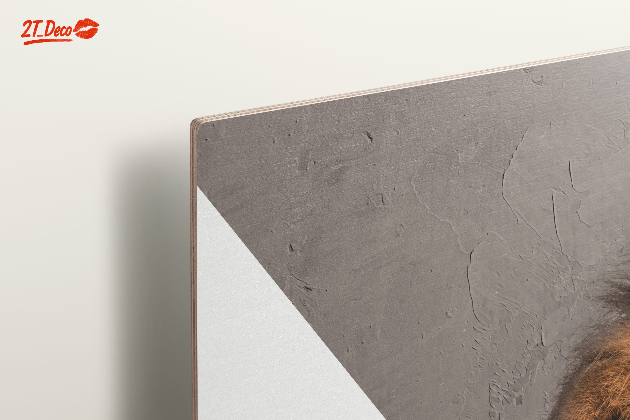 Majestic Lion Wall Art 2 - Image 15