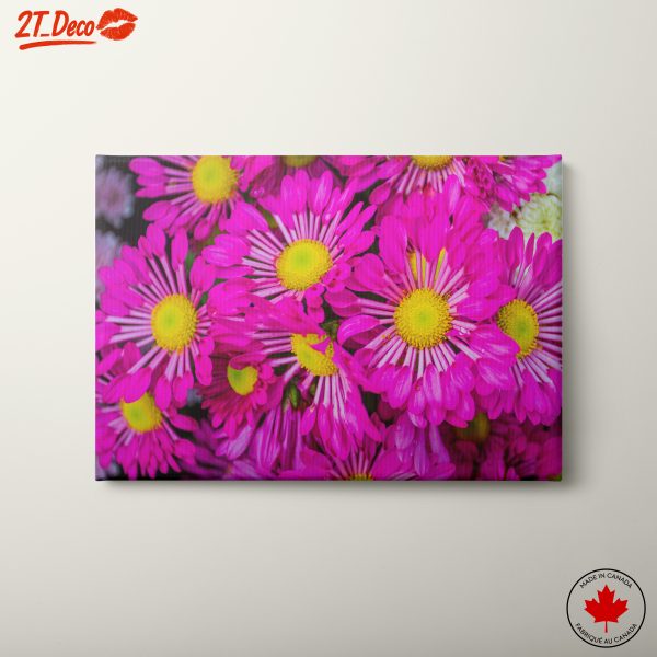 Vibrant Pink Flowers Arrangement