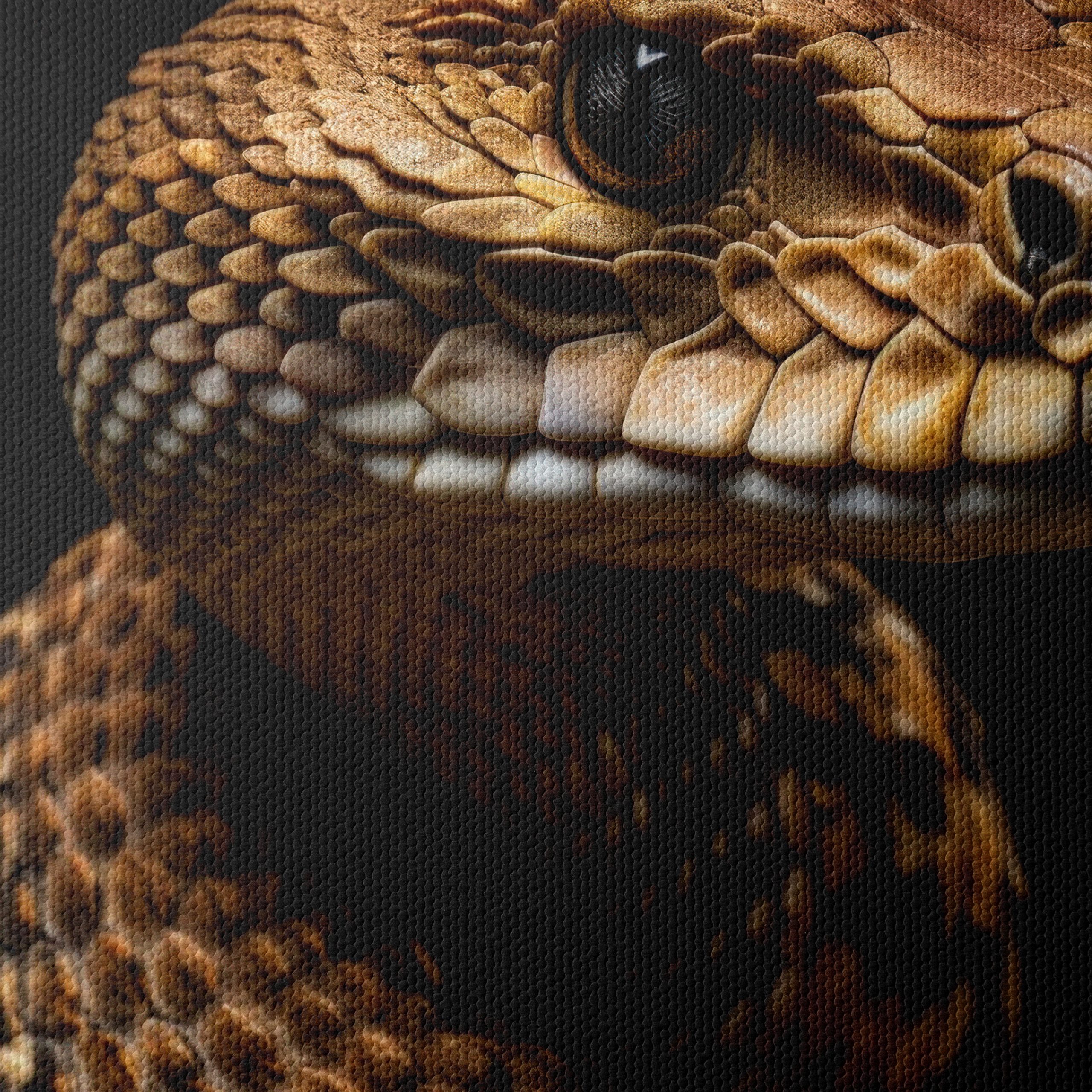 Captivating Close-Up of a Snake - Image 4