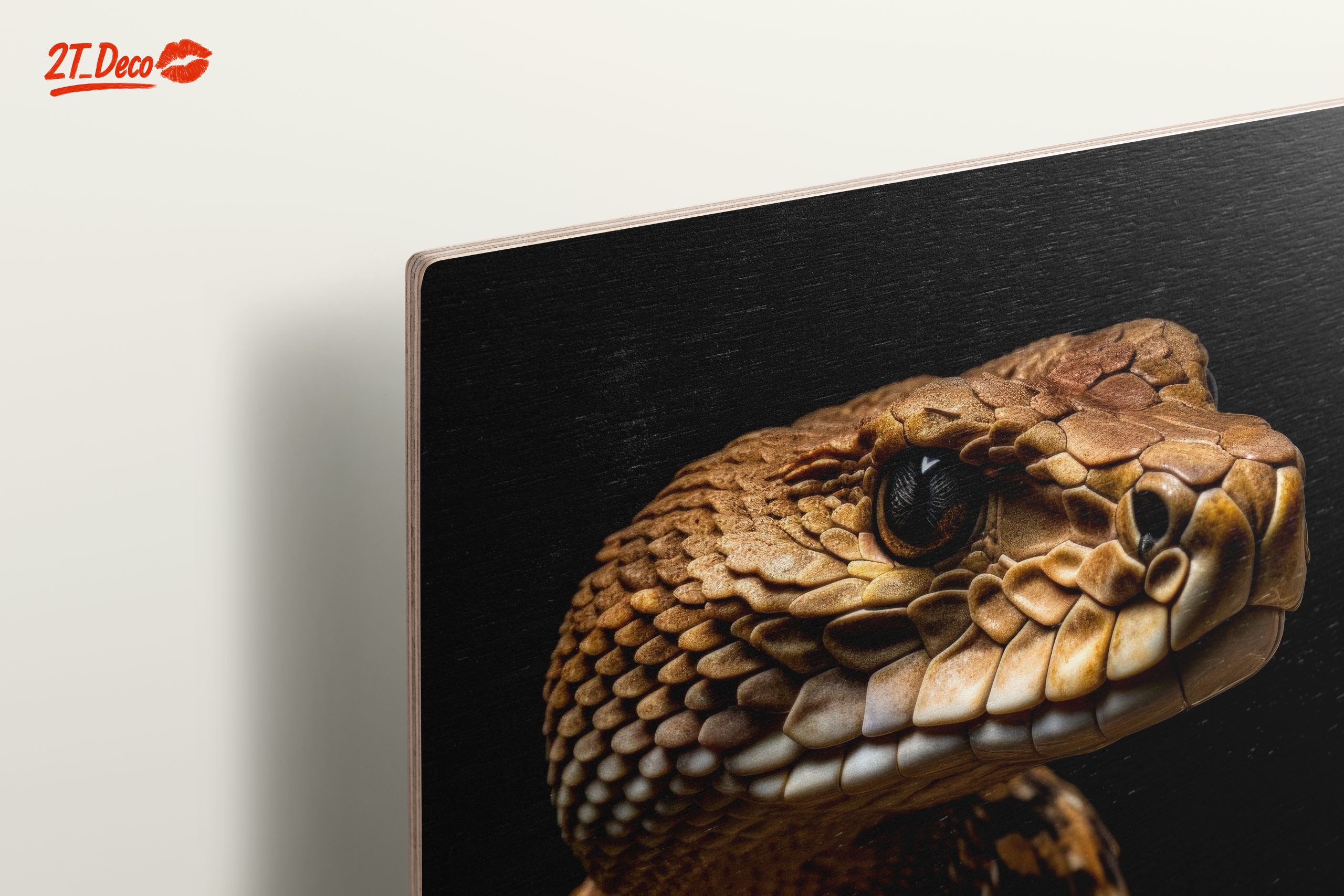 Captivating Close-Up of a Snake - Image 15