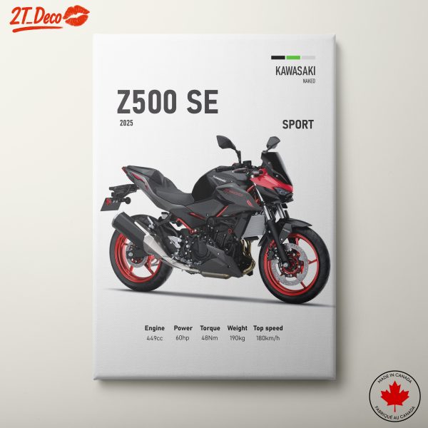 Kawasaki Z500 SE Sport Motorcycle Art