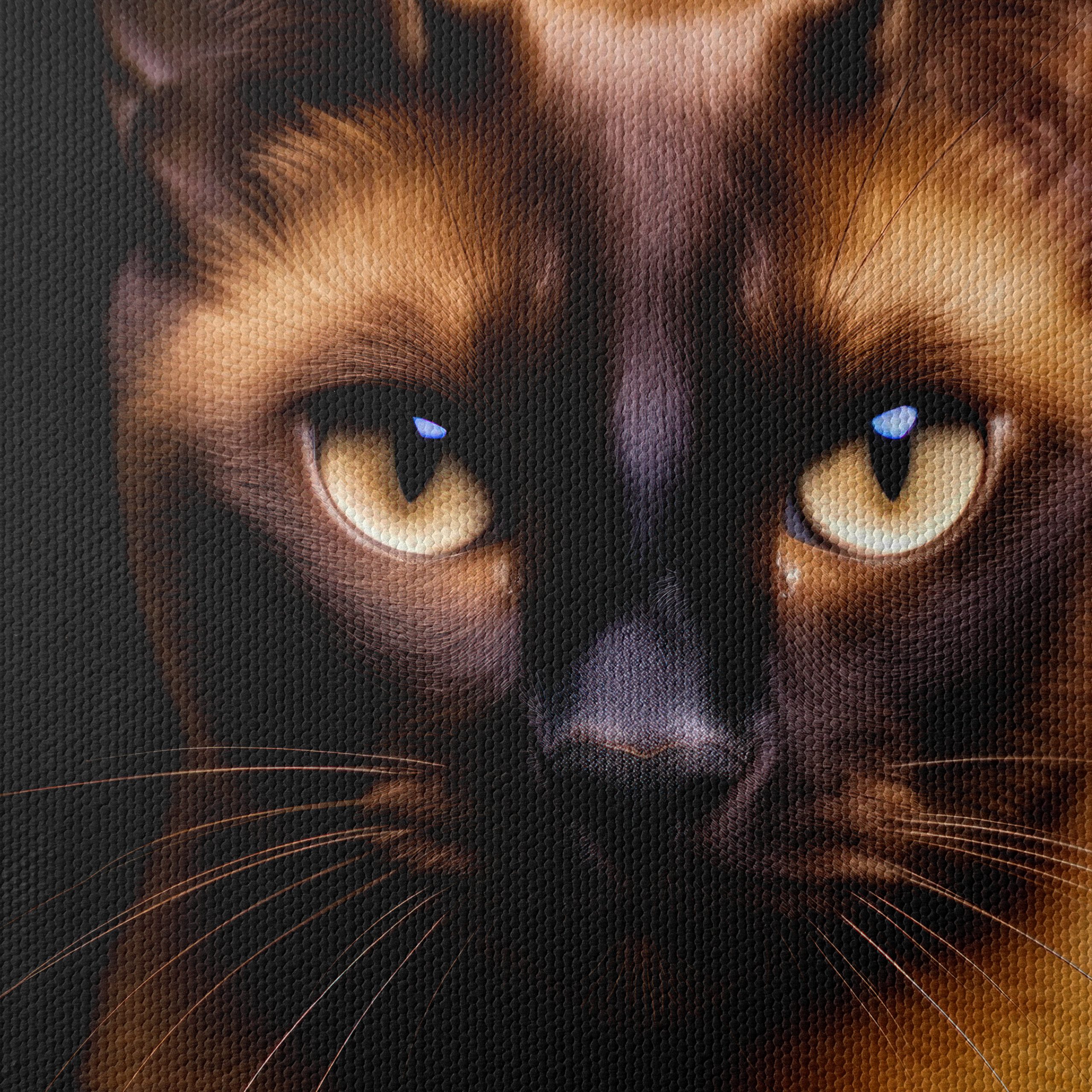 Close-Up Portrait of a Cat - Image 4
