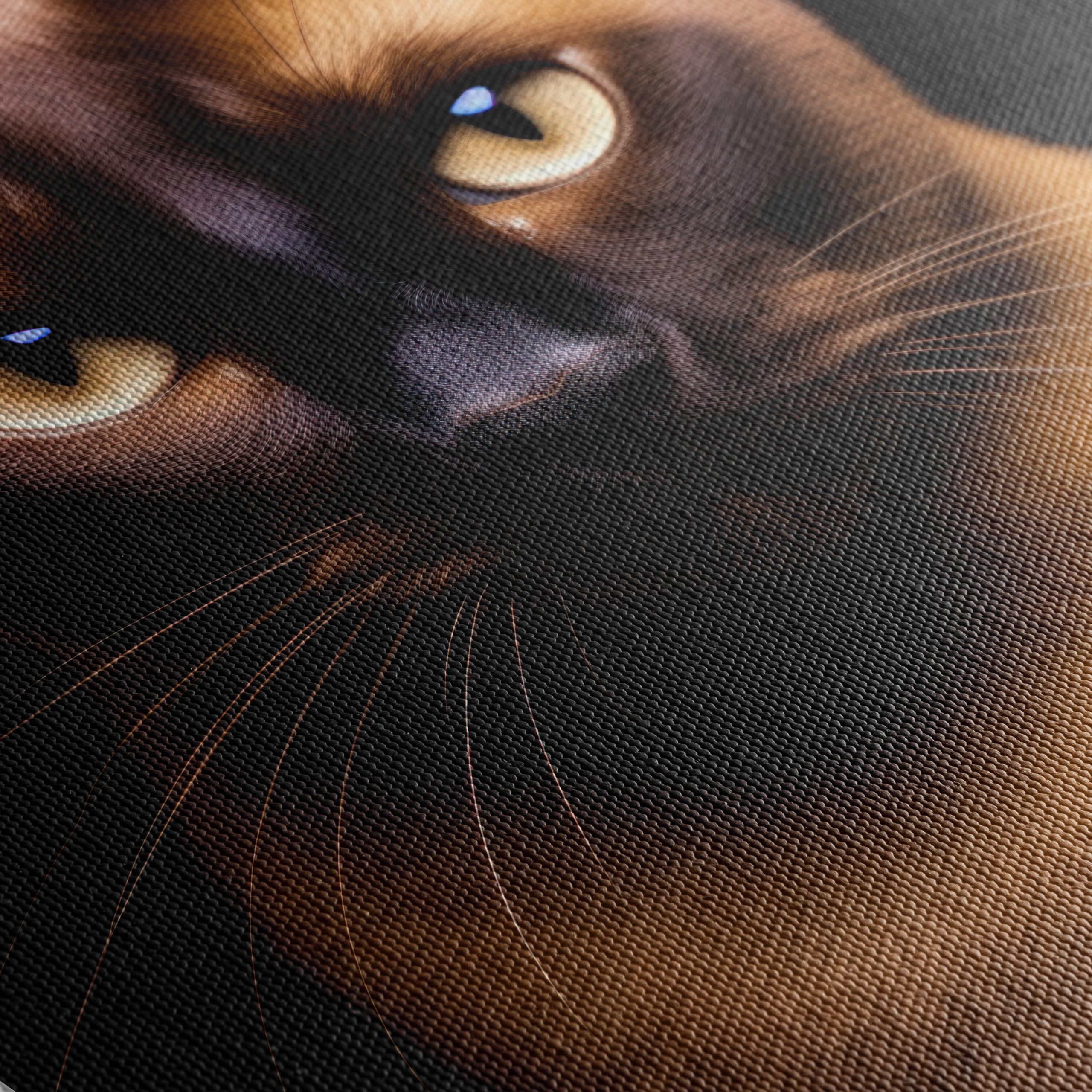 Close-Up Portrait of a Cat - Image 5