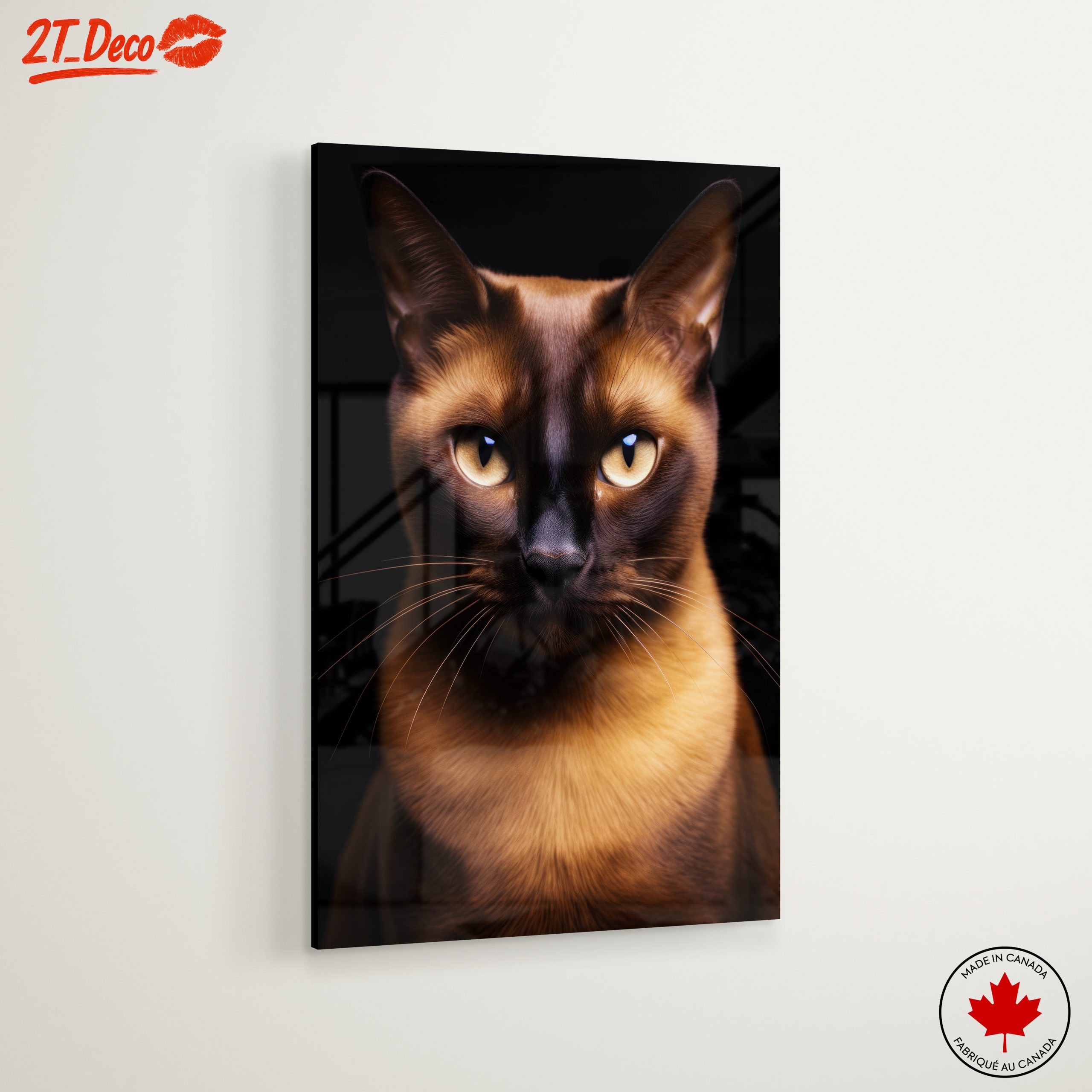 Close-Up Portrait of a Cat - Image 6