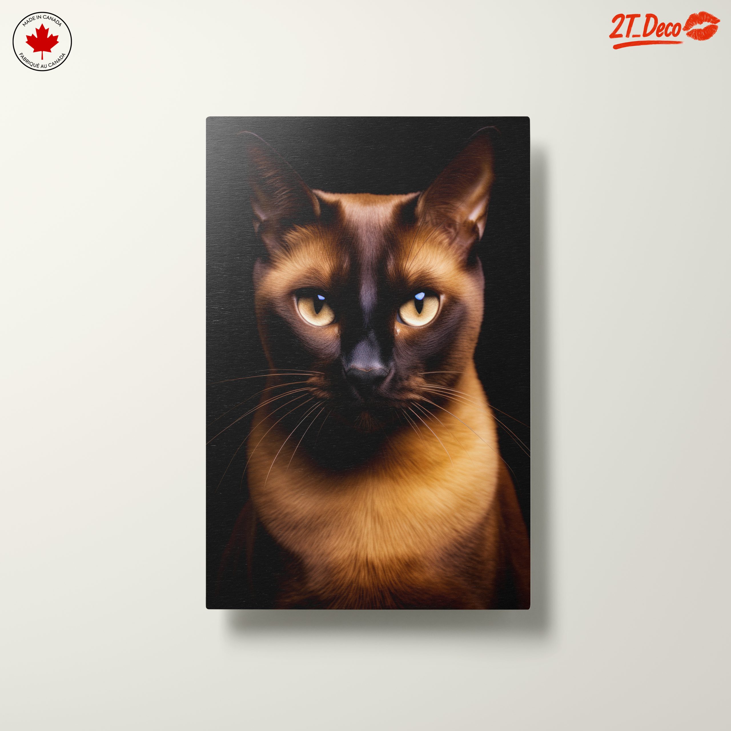 Close-Up Portrait of a Cat - Image 10