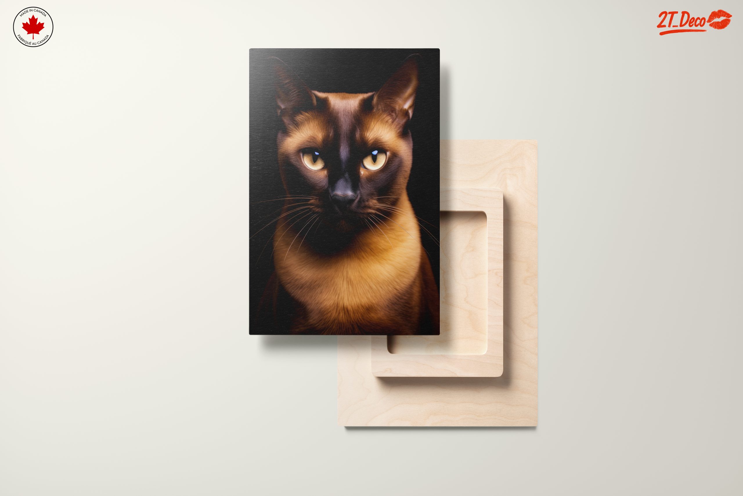 Close-Up Portrait of a Cat - Image 11