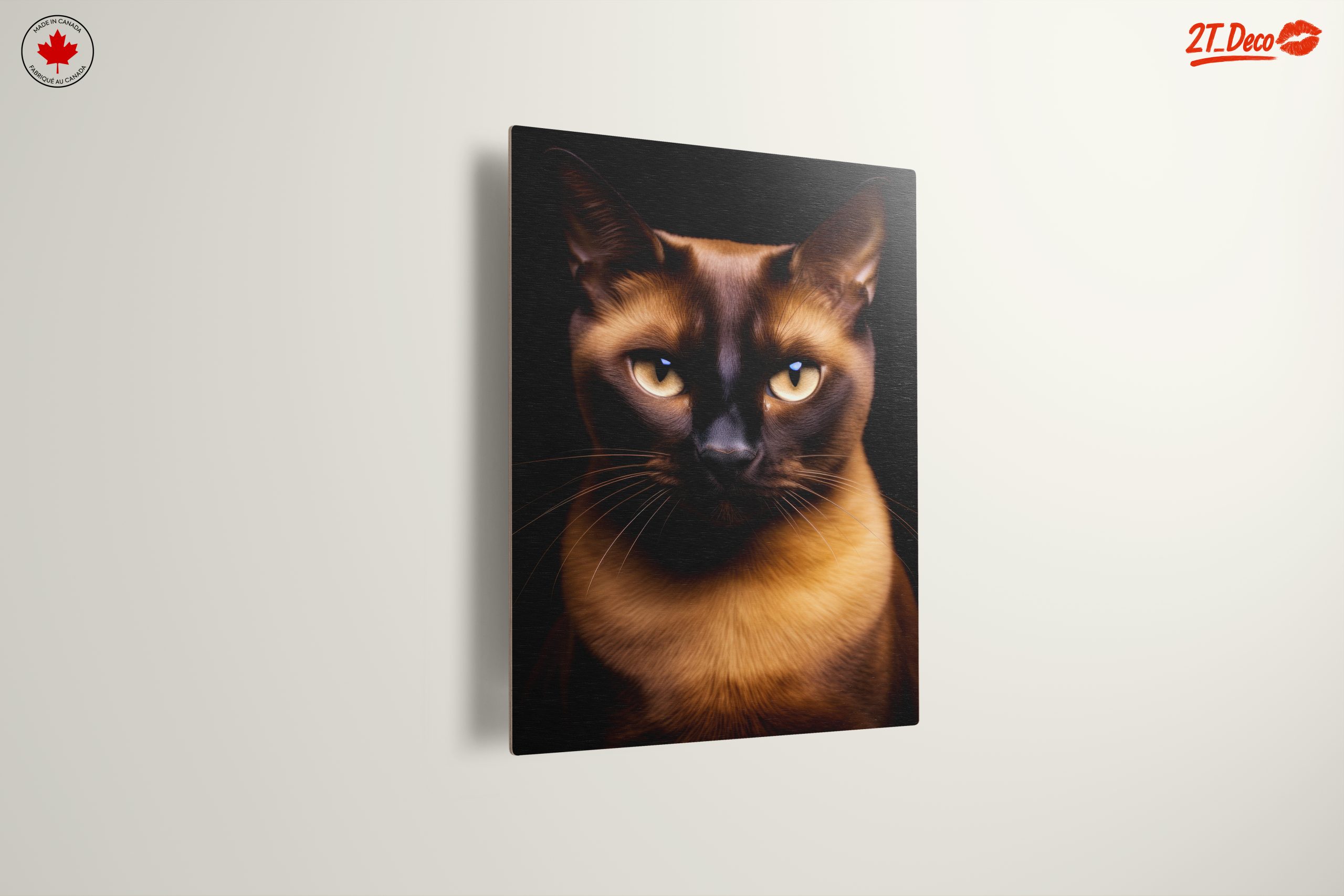 Close-Up Portrait of a Cat - Image 13
