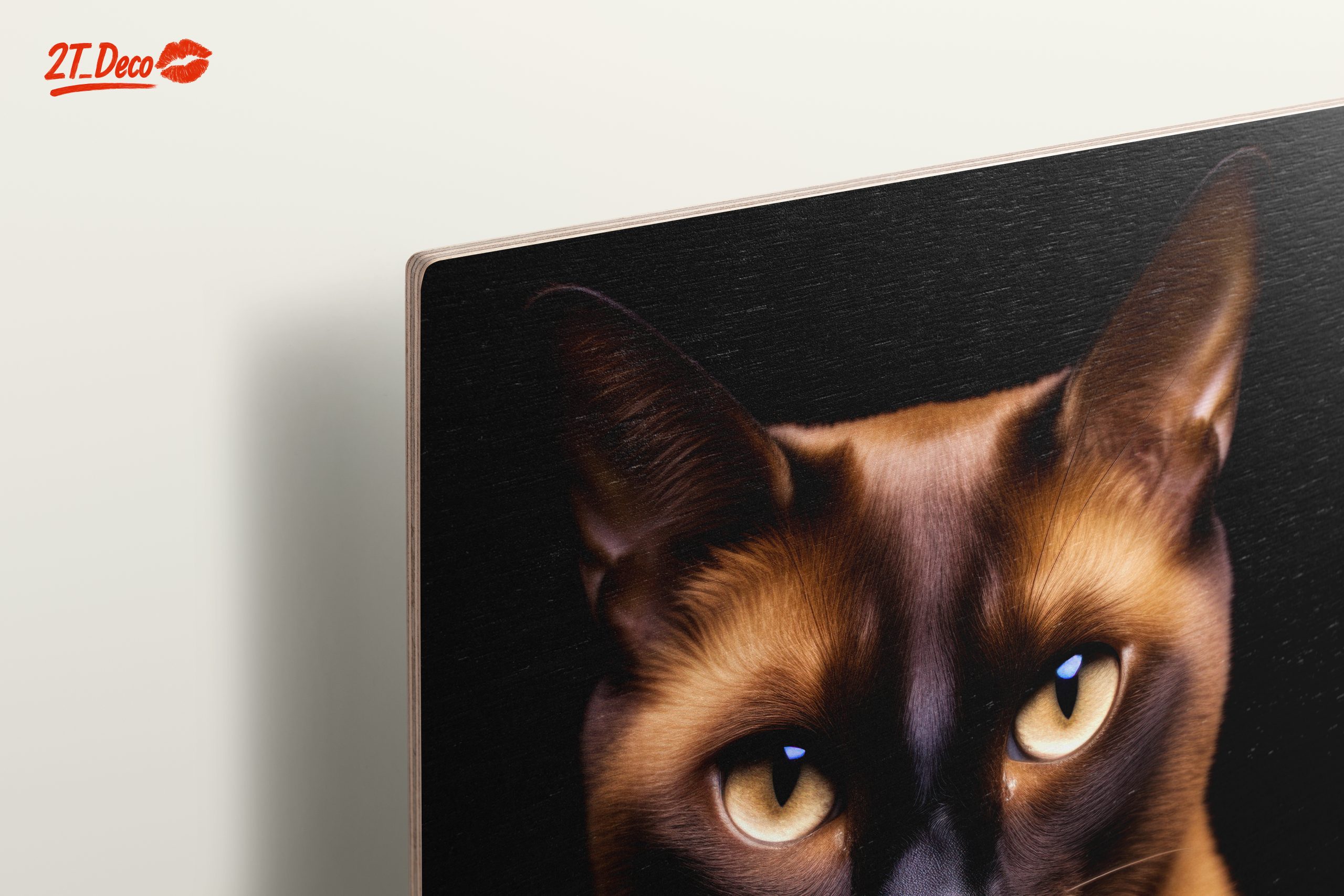 Close-Up Portrait of a Cat - Image 15