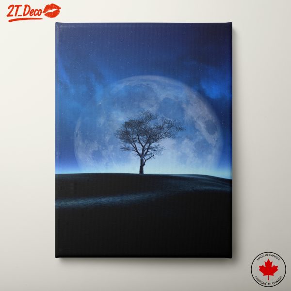 Silhouetted Tree Against a Moonlit Night
