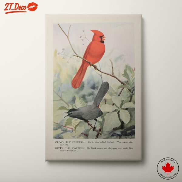 Cardinal and Catbird Art Illustration