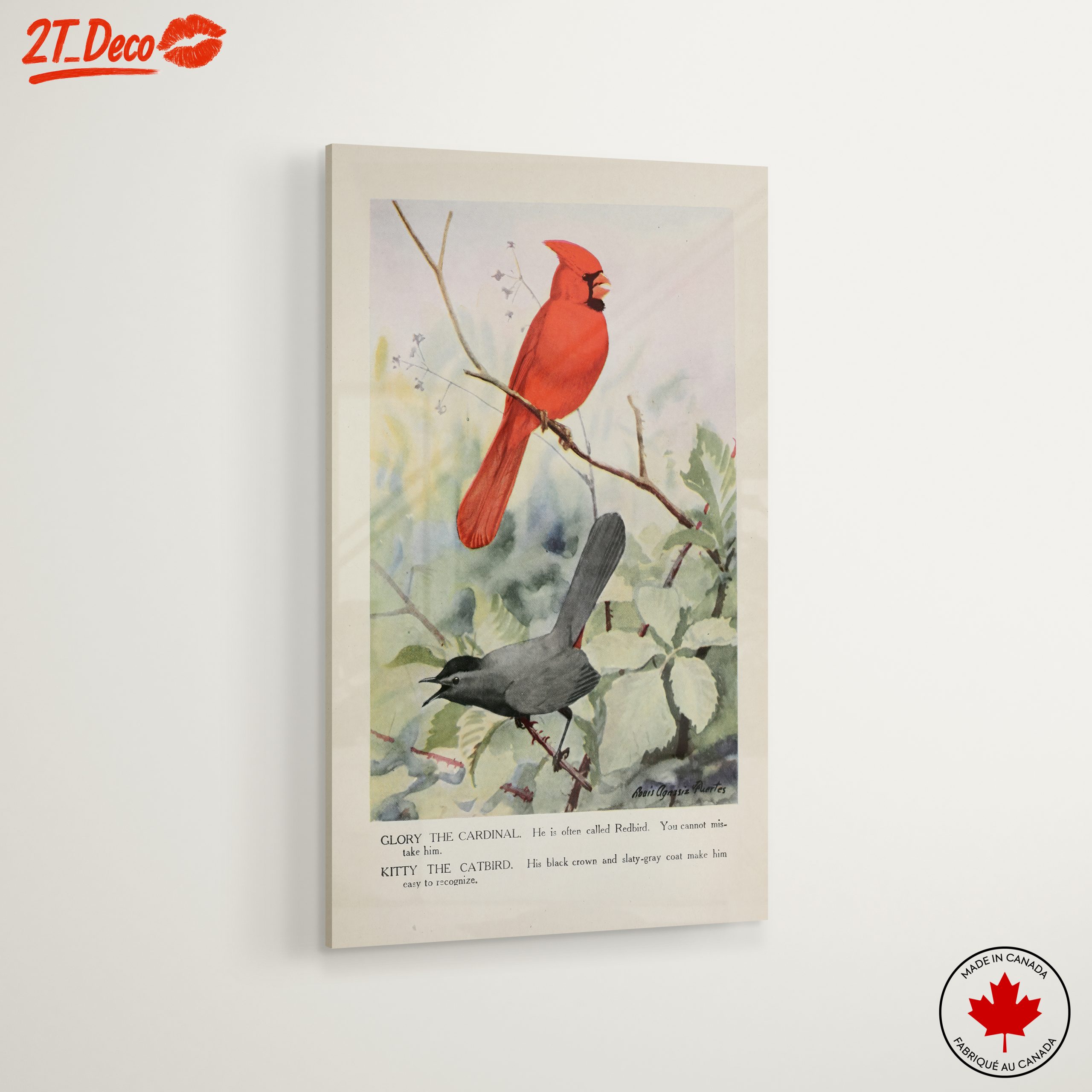 Cardinal and Catbird Art Illustration - Image 6