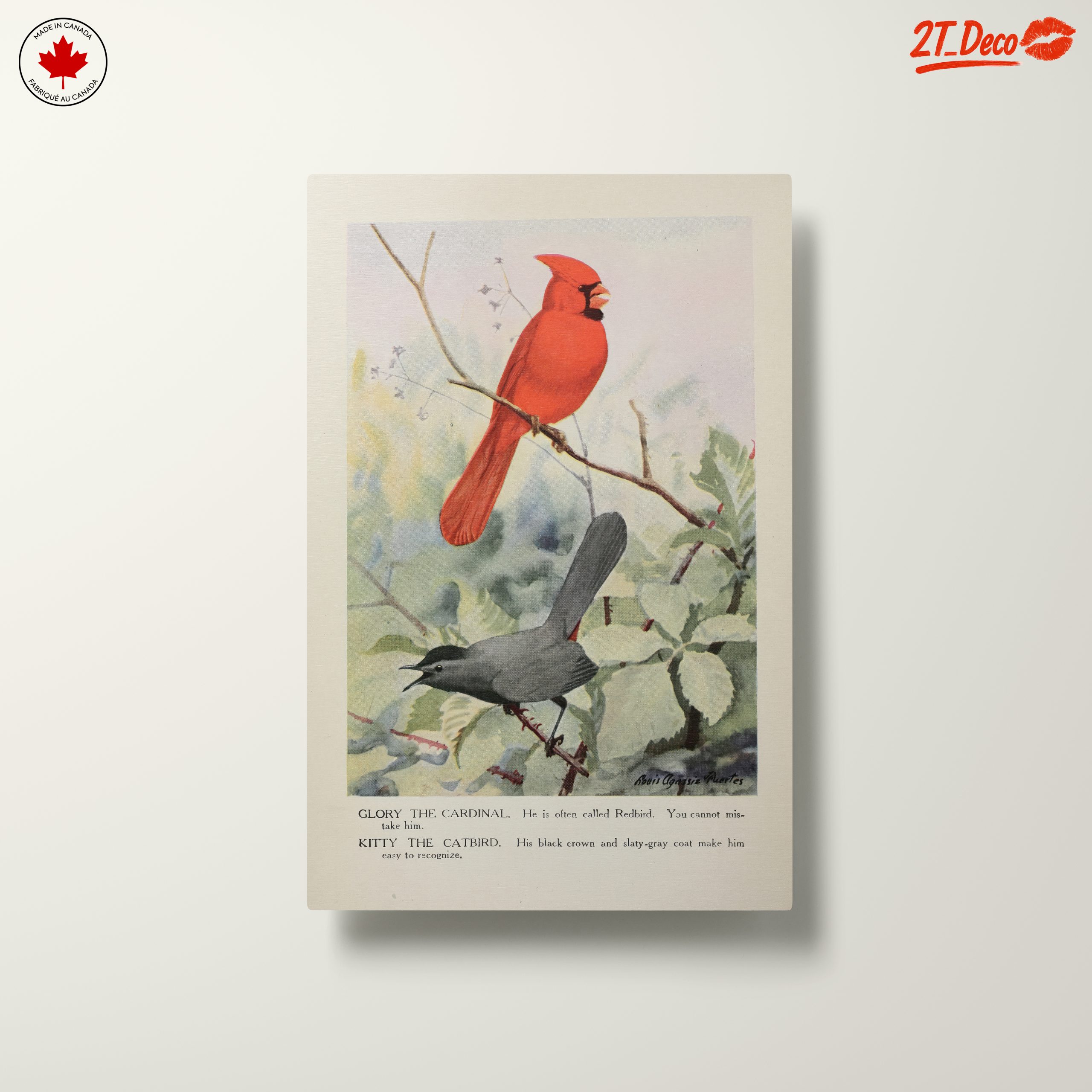 Cardinal and Catbird Art Illustration - Image 10