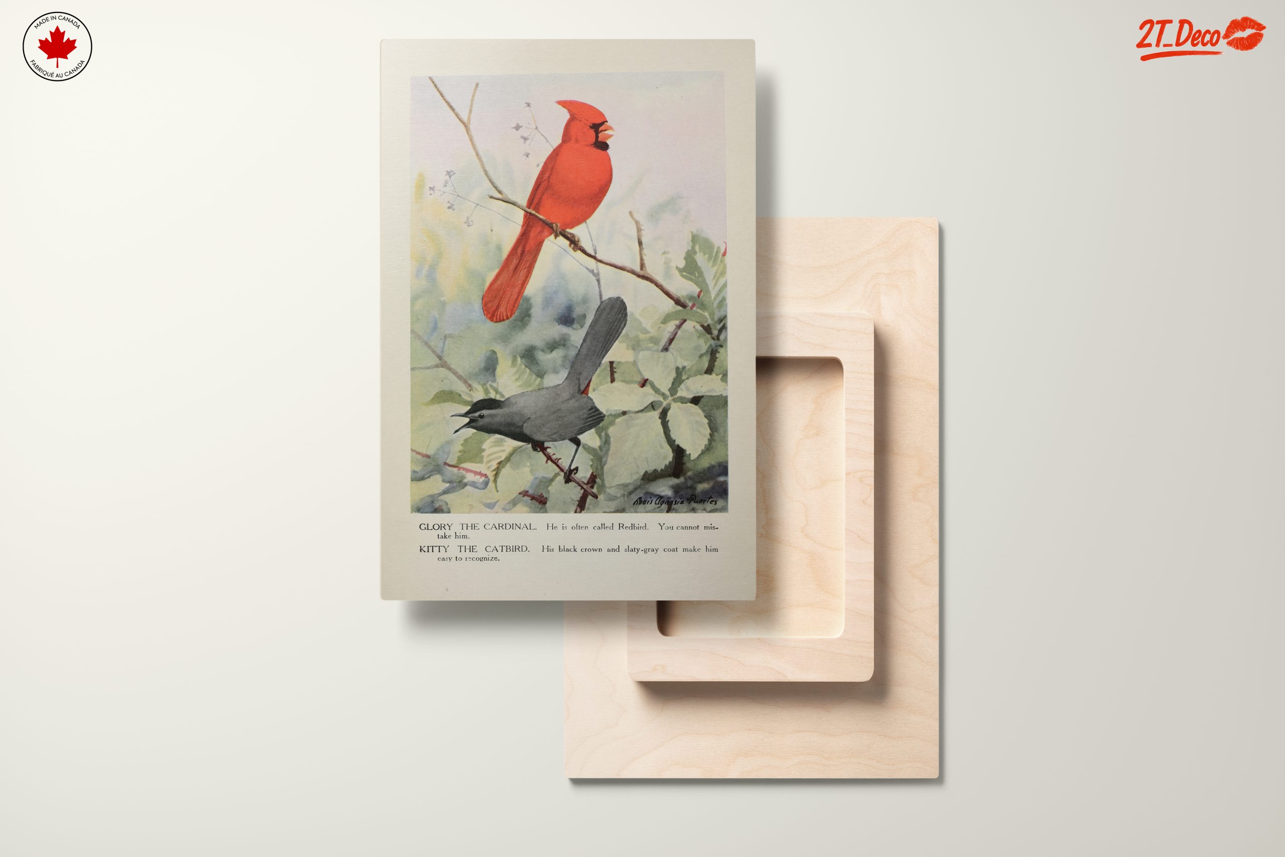 Cardinal and Catbird Art Illustration - Image 11