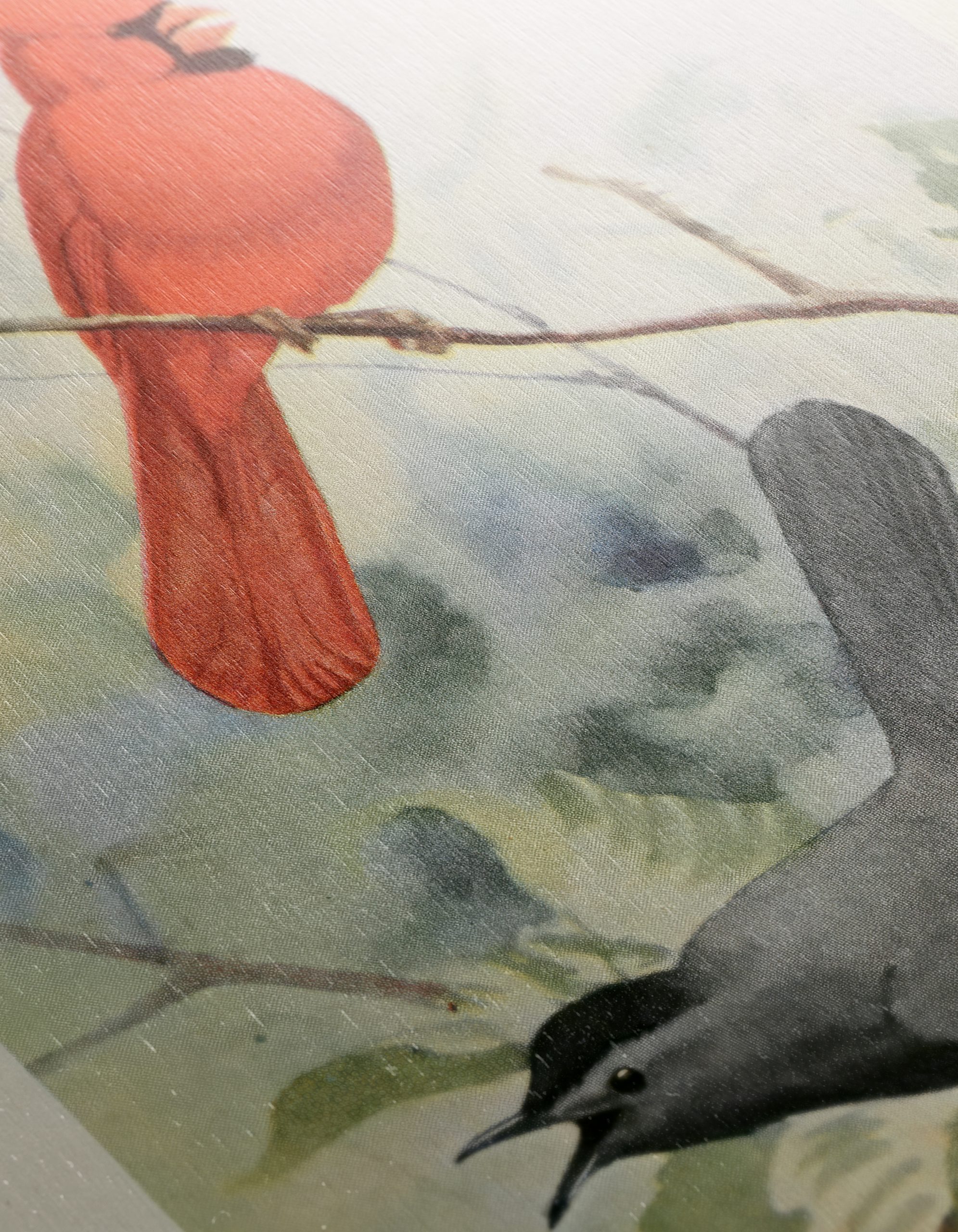 Cardinal and Catbird Art Illustration - Image 12