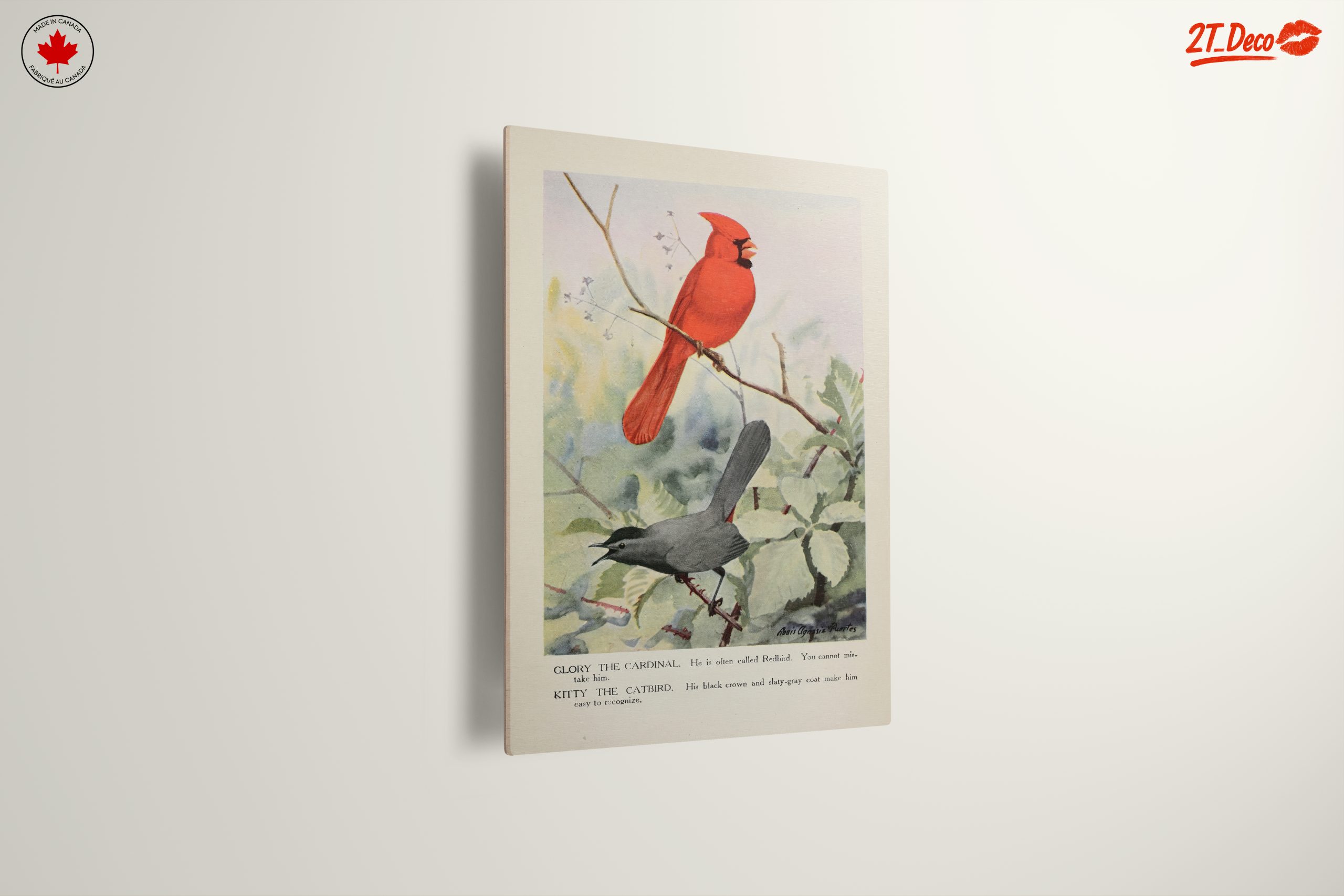 Cardinal and Catbird Art Illustration - Image 13