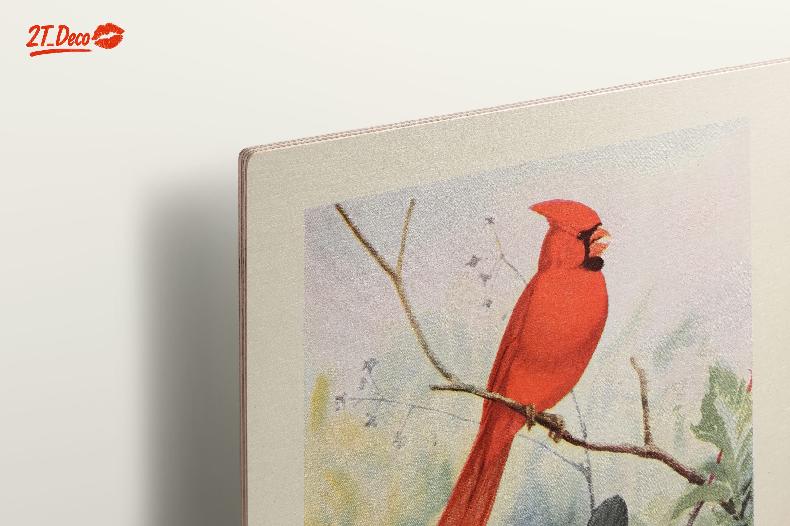 Cardinal and Catbird Art Illustration - Image 15