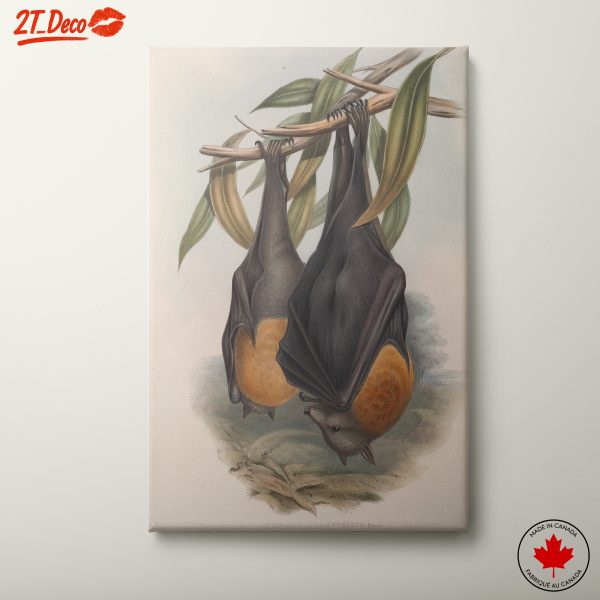 Bats Hanging from Branches in Natural Habitat