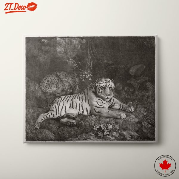 Lifelike Tiger Animal Portrait Art