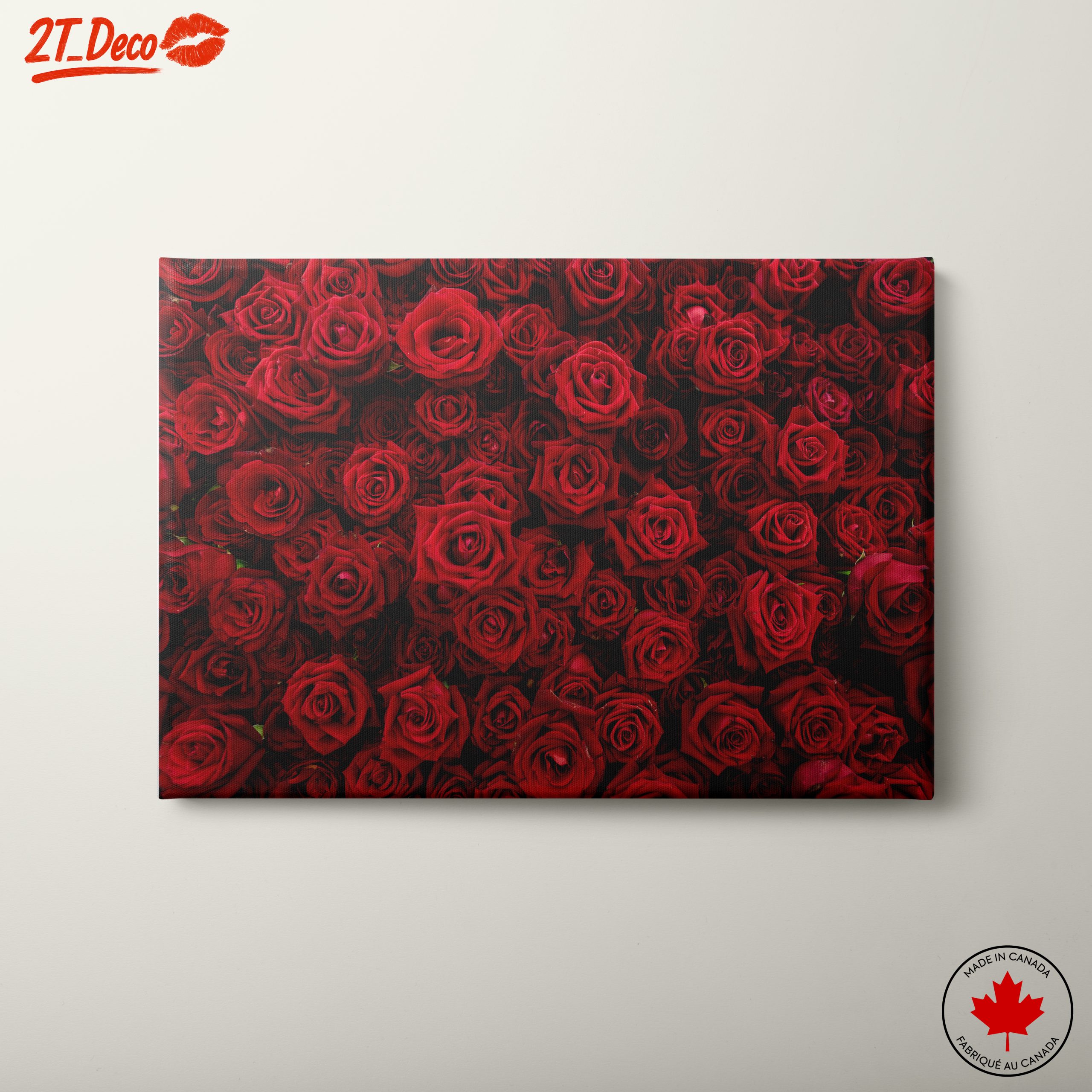 Vibrant Red Roses Blooming Together