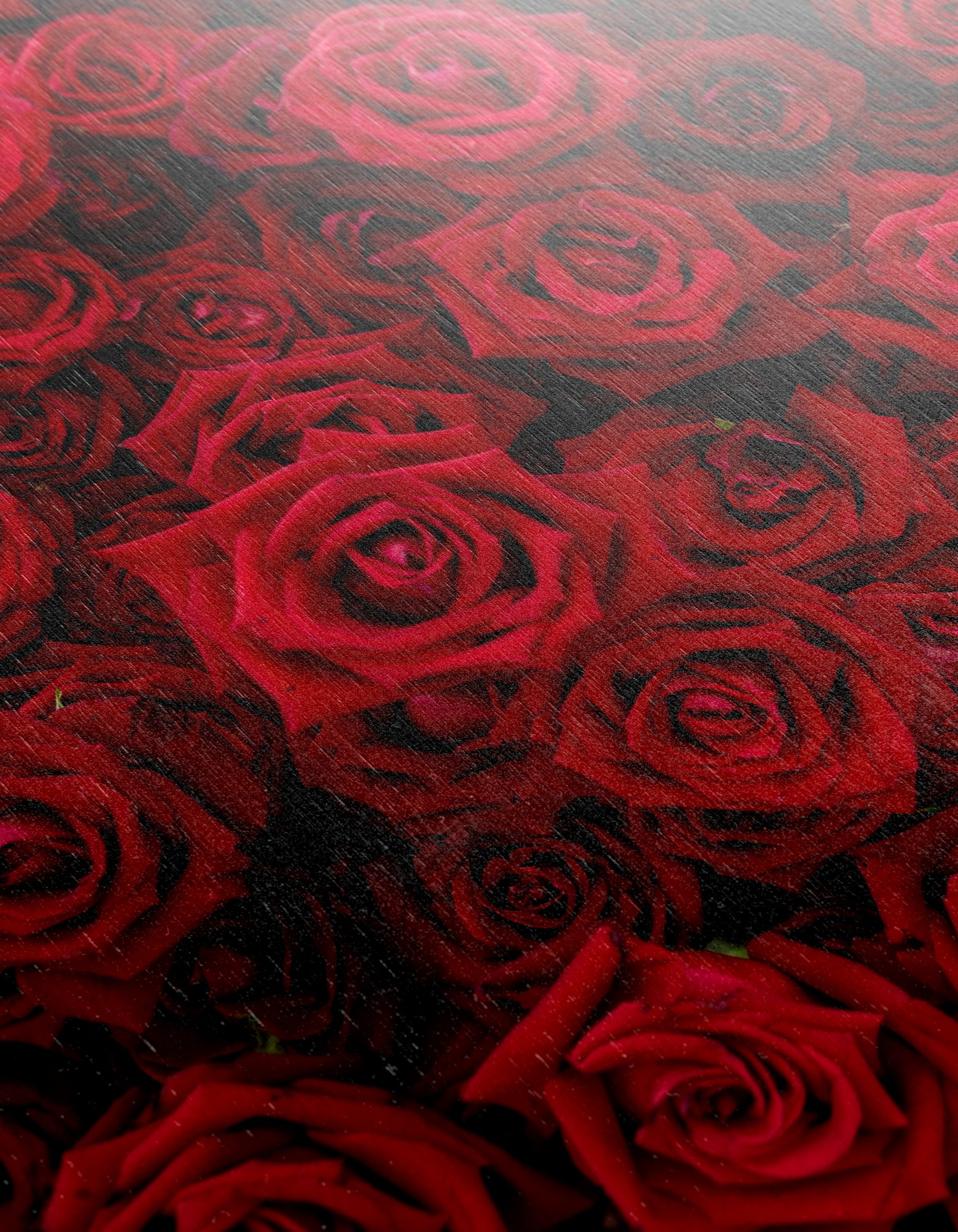 Vibrant Red Roses Blooming Together - Image 12