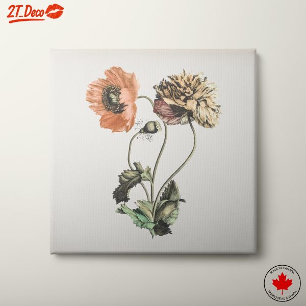 Charming Botanical Floral Illustration