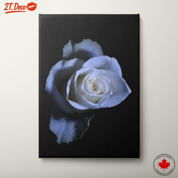 Beautiful White Rose Floral Art