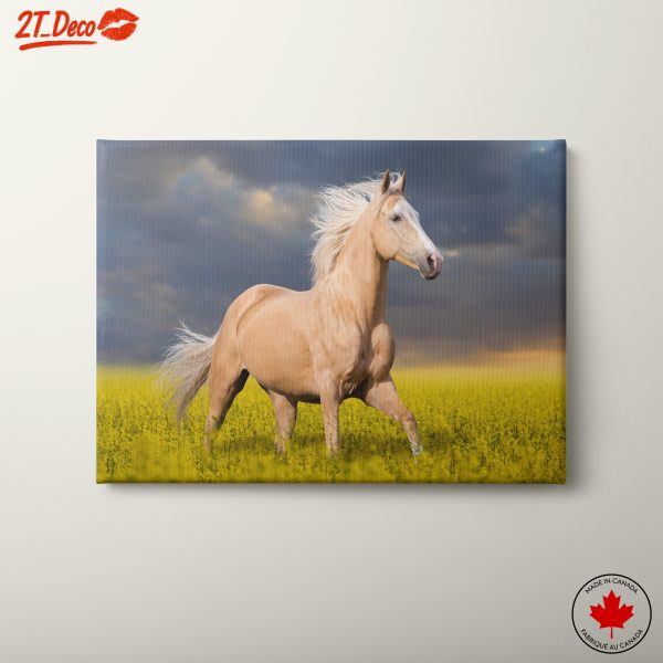 Beautiful Horse Running in Field
