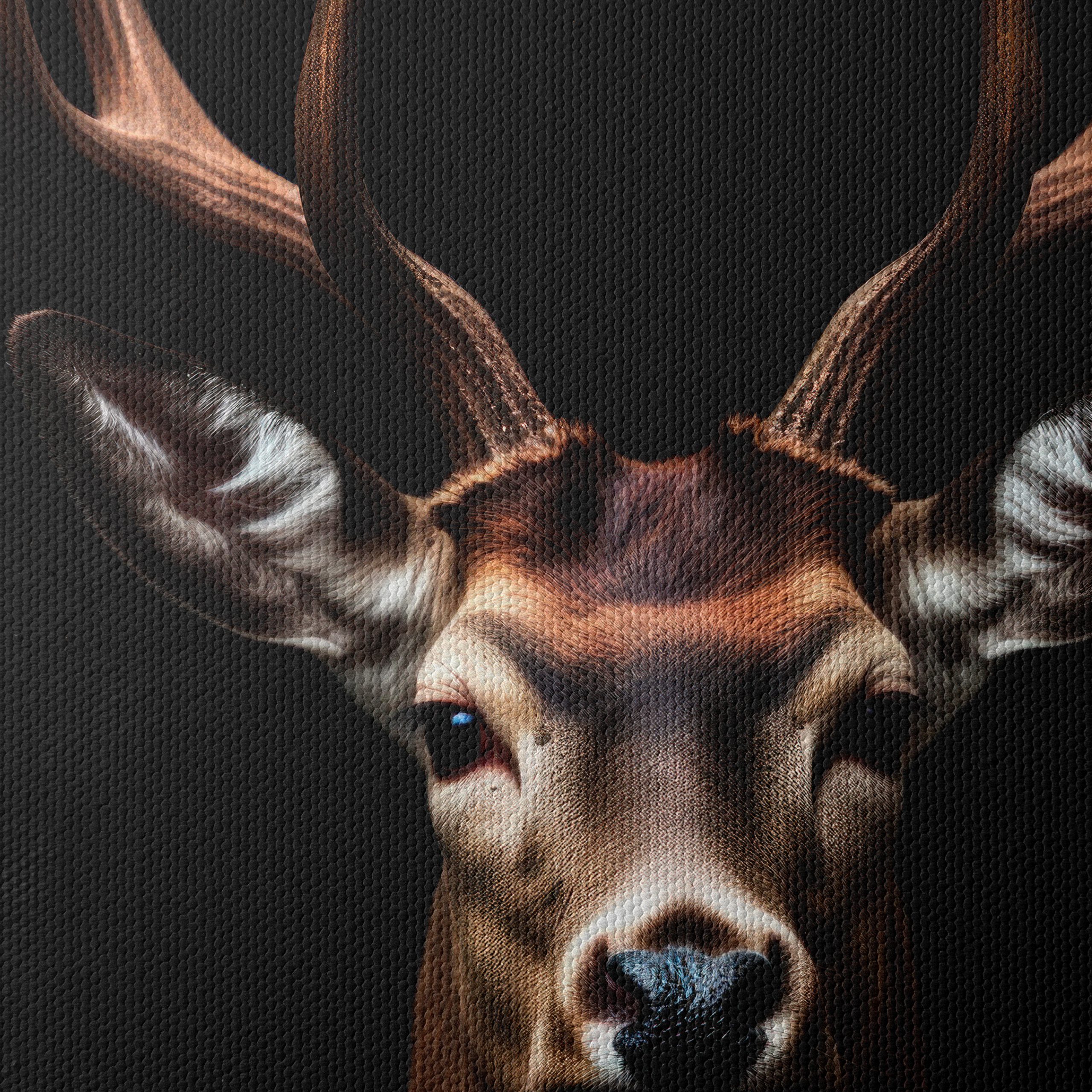 Majestic Deer Portrait for Home Decoration - Image 4