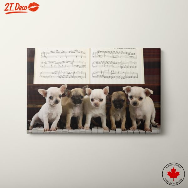 Adorable Puppies on a Piano