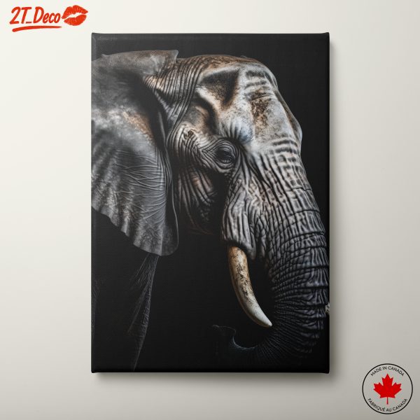 Portrait of an Elephant in Striking Detail