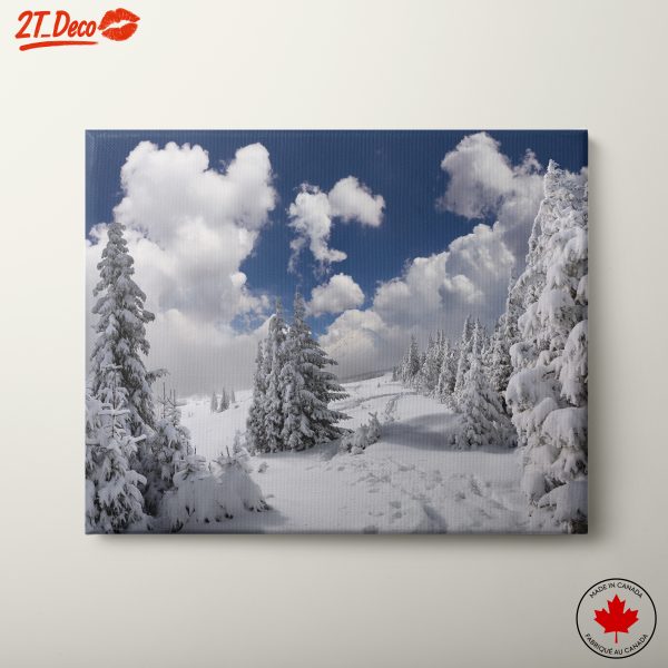 Snowy Forest Landscape Under Cloudy Sky
