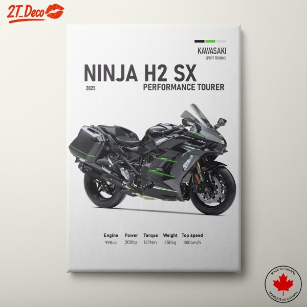 Kawasaki Ninja H2 SX Performance Tourer