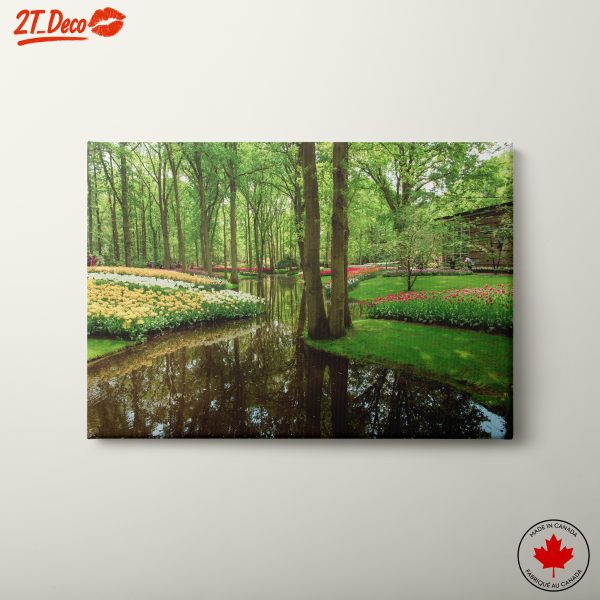 Serene Nature Landscape with Colorful Flowers