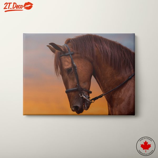 Majestic Horse Portrait at Sunset